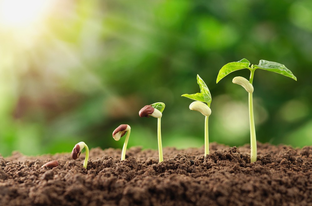 Growing your business the healthy way